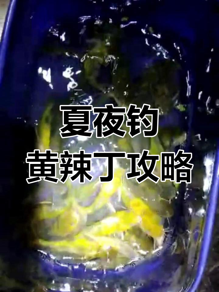5月钓黄辣丁技巧(初春钓黄辣丁)