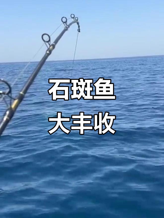海钓石斑用什么线(海钓石斑用几号线)