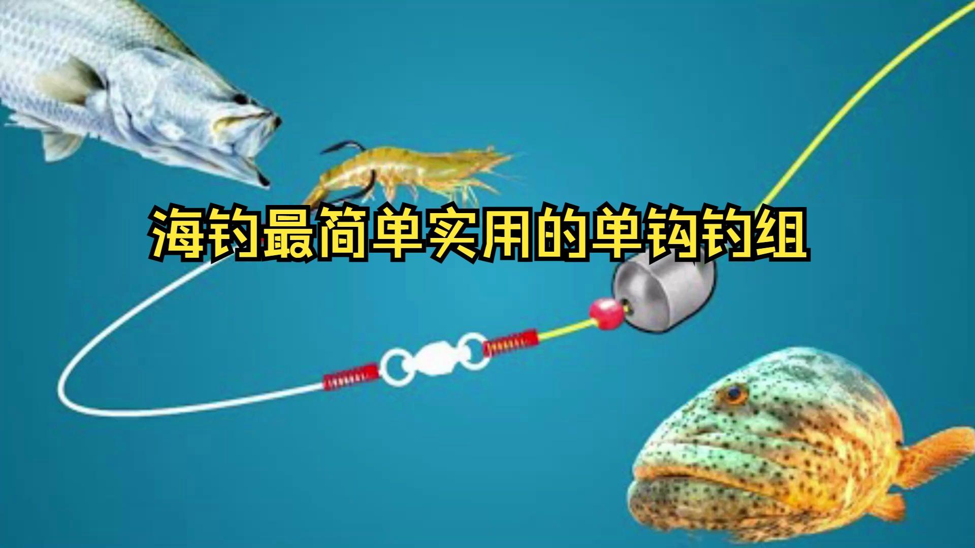 钓组海钓鱼排(海钓新手入门组装全套教程)