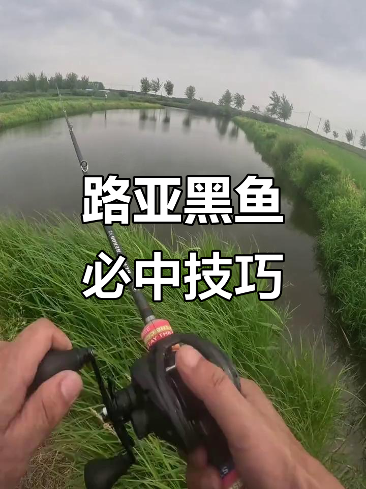路黑鱼技巧手法(路黑鱼用几号线)