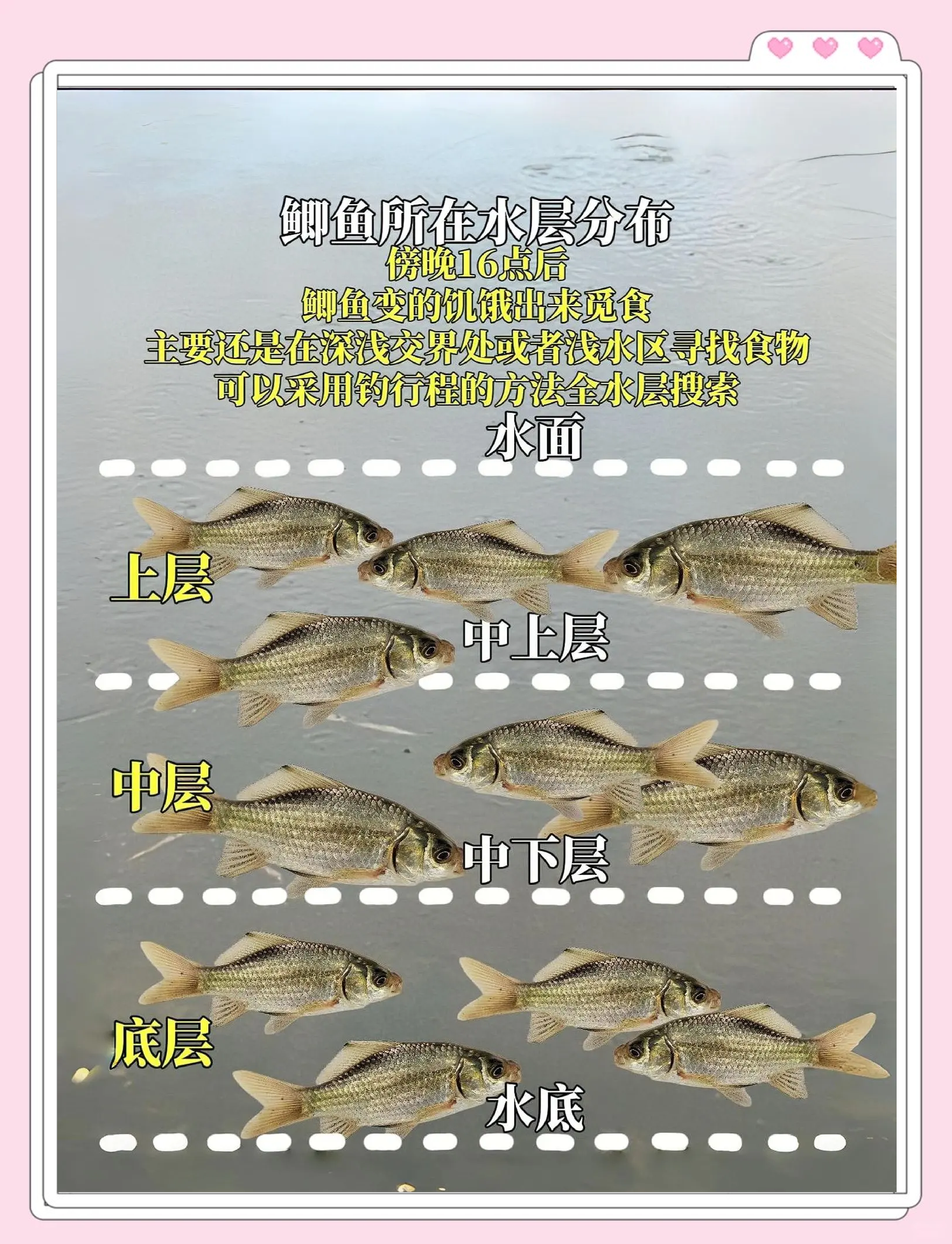 春季钓鲫鱼风向技巧(春季钓鲫鱼风向技巧图解)
