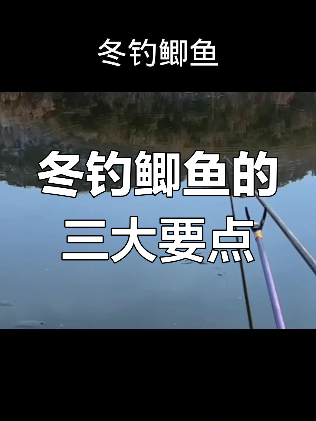 11月初冬钓鲫鱼技巧(十一月份野钓鲫鱼)