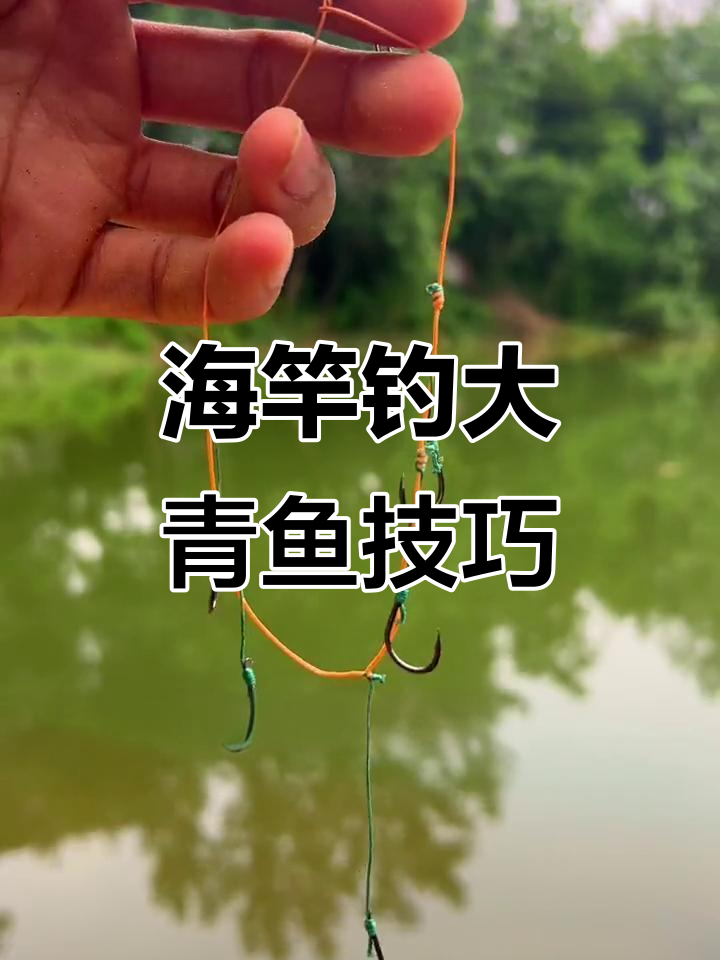 春天钓青鱼技巧视频(春天钓青鱼技巧视频教程)