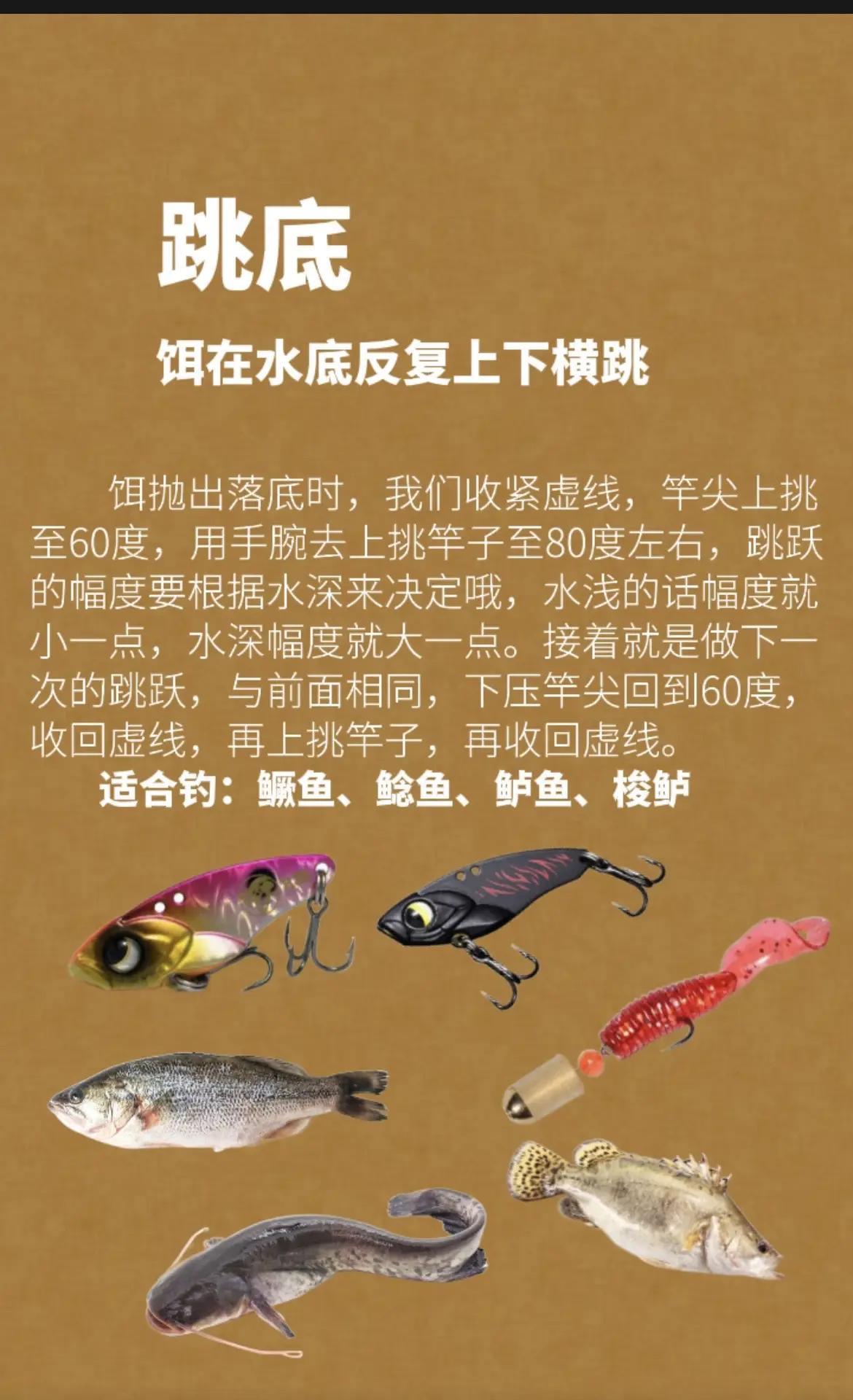搭配饵料的技巧(饵料搭配口诀)