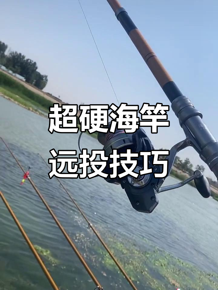 甩海竿的技巧图解(甩海竿的技巧图解视频)