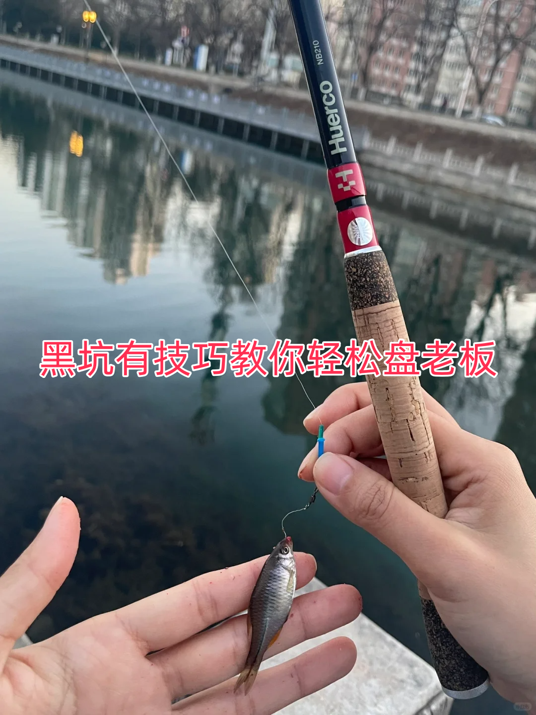 夜钓黑头技巧(为什么夜钓禁用蓝光灯)