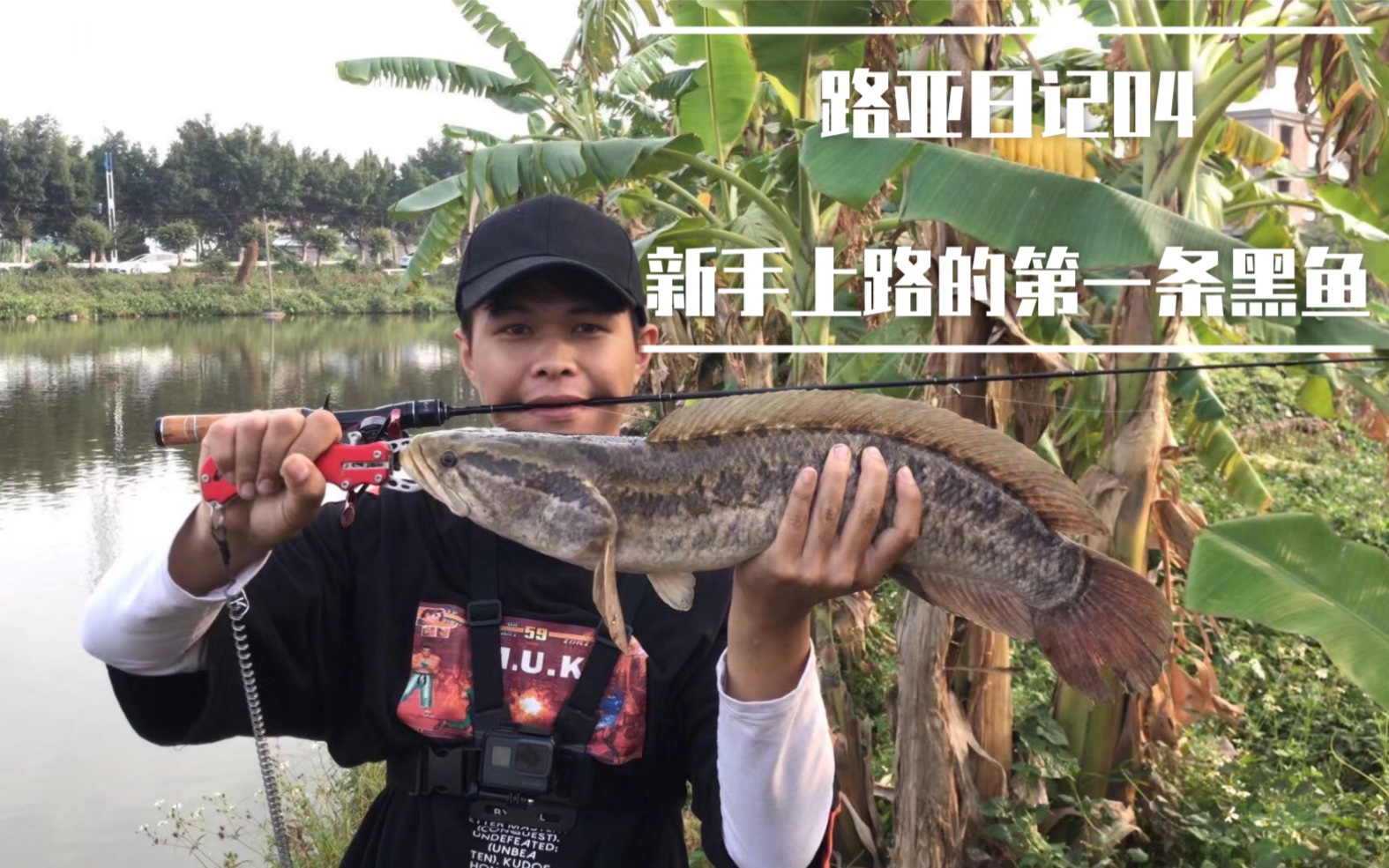 西乡路亚日记(西河路亚)