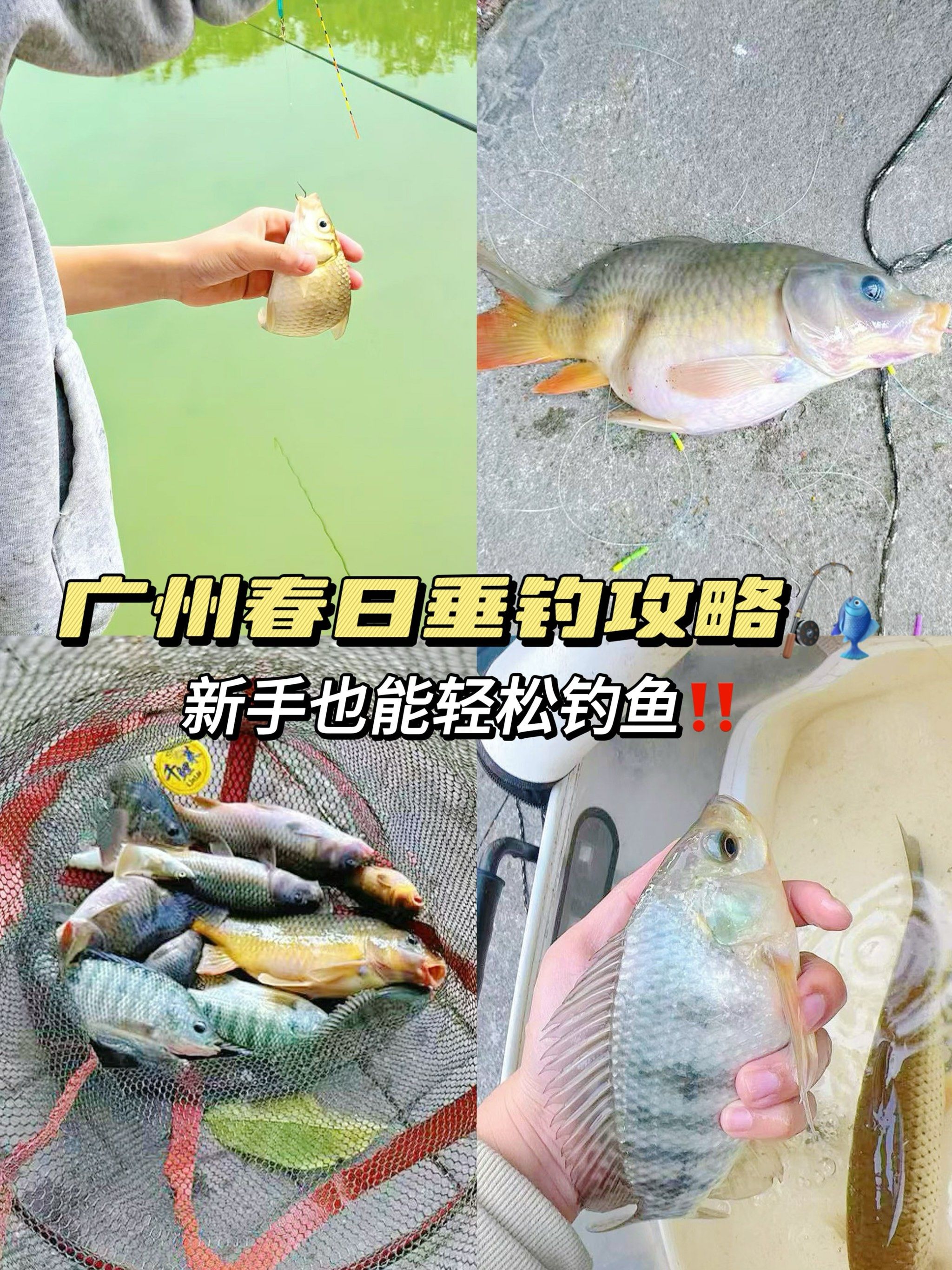广州租船海钓(广州租船海钓船价格)
