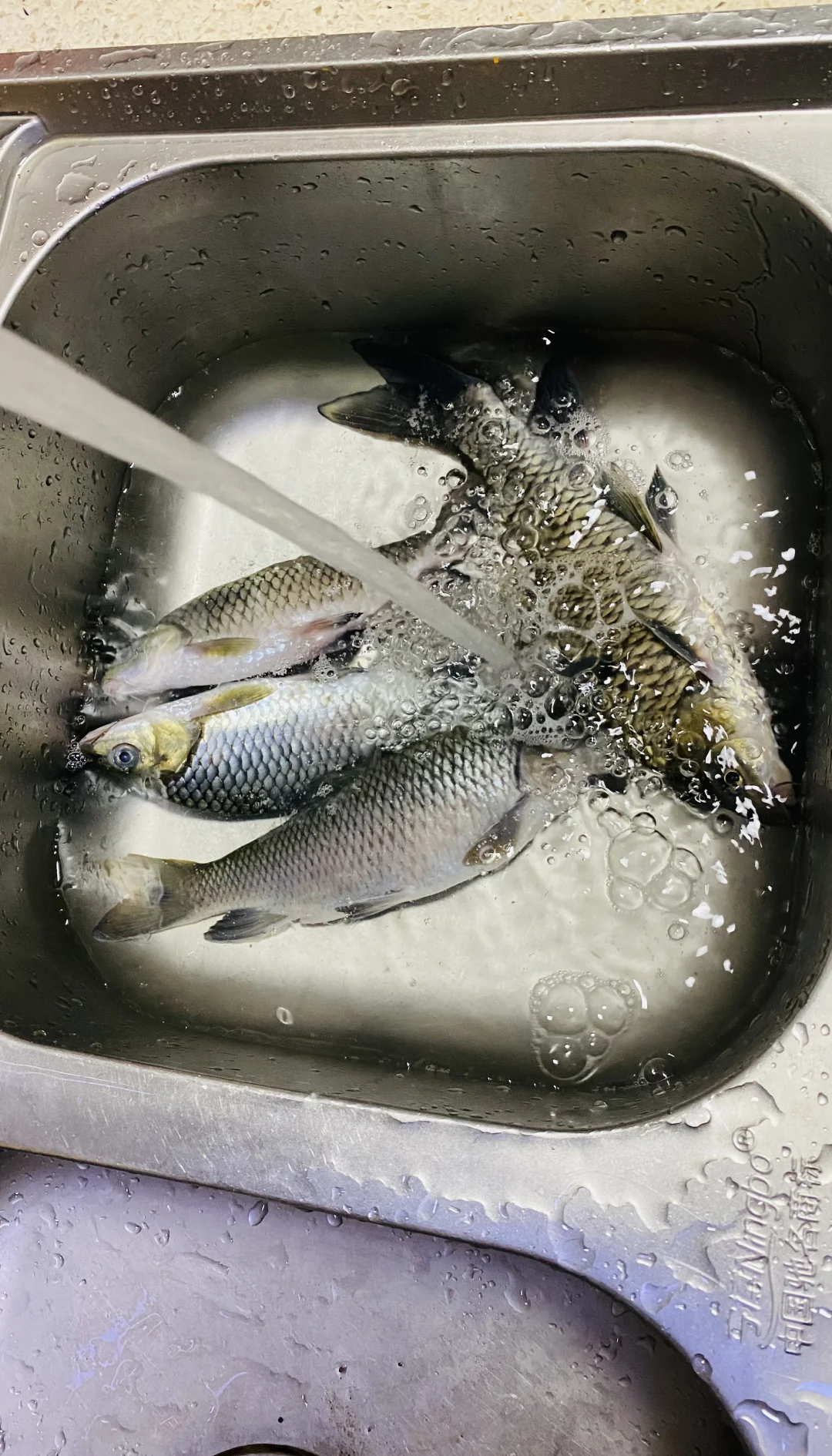 涨水钓鱼饵料(涨水钓鱼饵料怎么配)