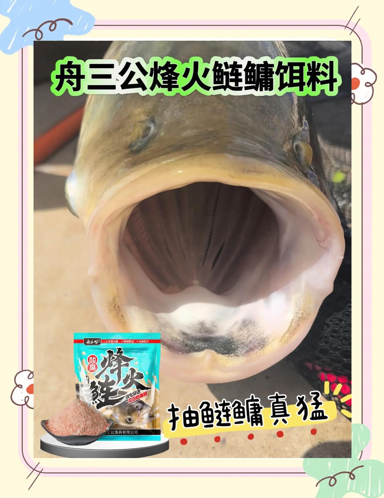 鲢鱼制作饵料图片(如何制作鲢鱼)