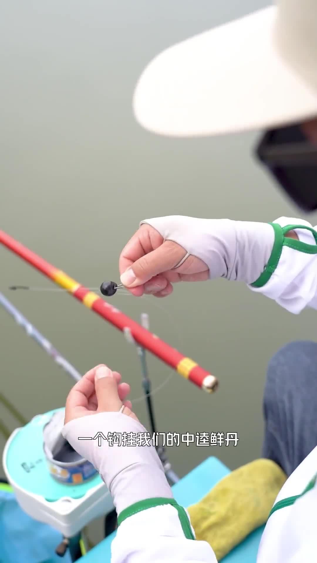 春季黑坑钓青鱼技巧(春季黑坑钓青鱼技巧和方法)