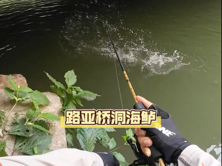 路海鲈如何选路亚(路亚海鲈鱼怎么钓用什么饵)