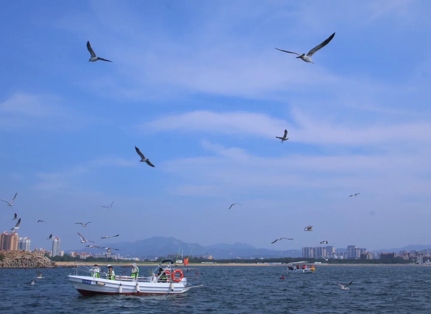 威海好的海钓地点(威海好的海钓地点在哪里)