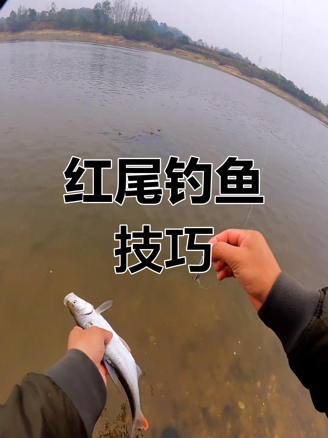 小河路亚技巧(路亚在小河里用什么饵)
