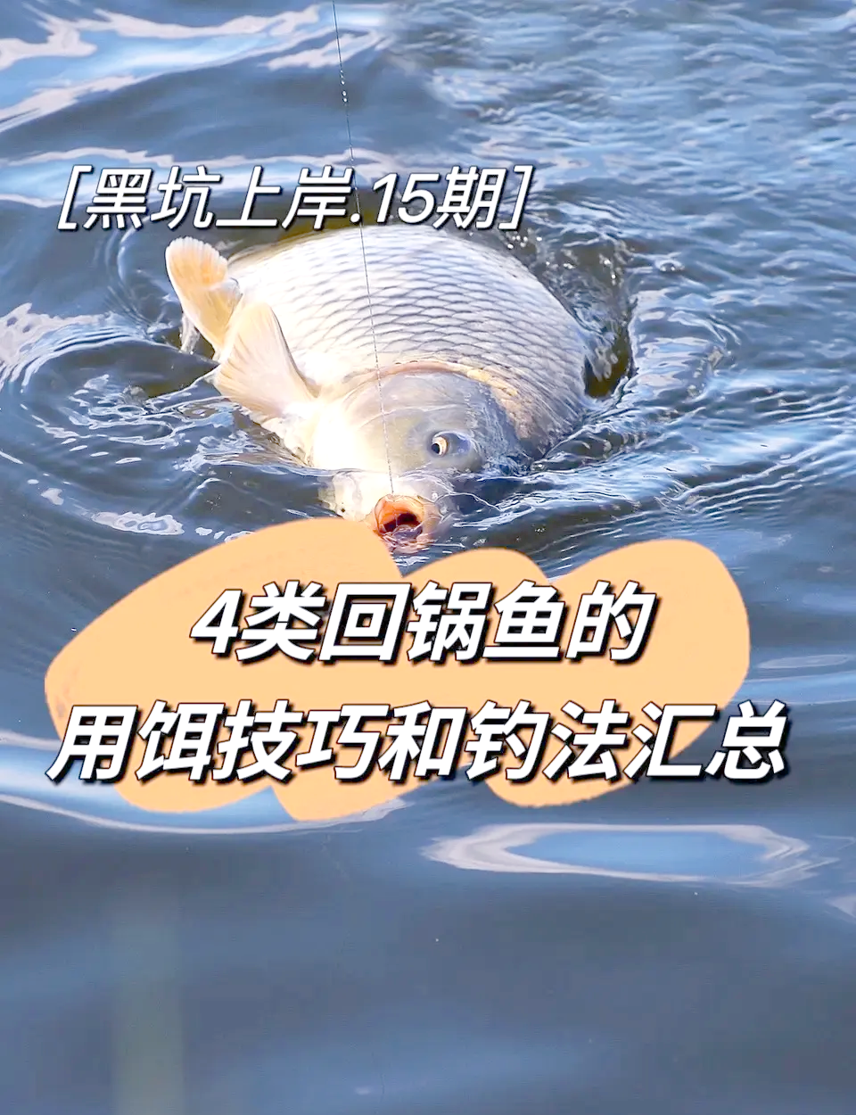 钓乌青技巧黑坑作钓技巧(钓乌青调漂方法视频应该怎么样调漂)
