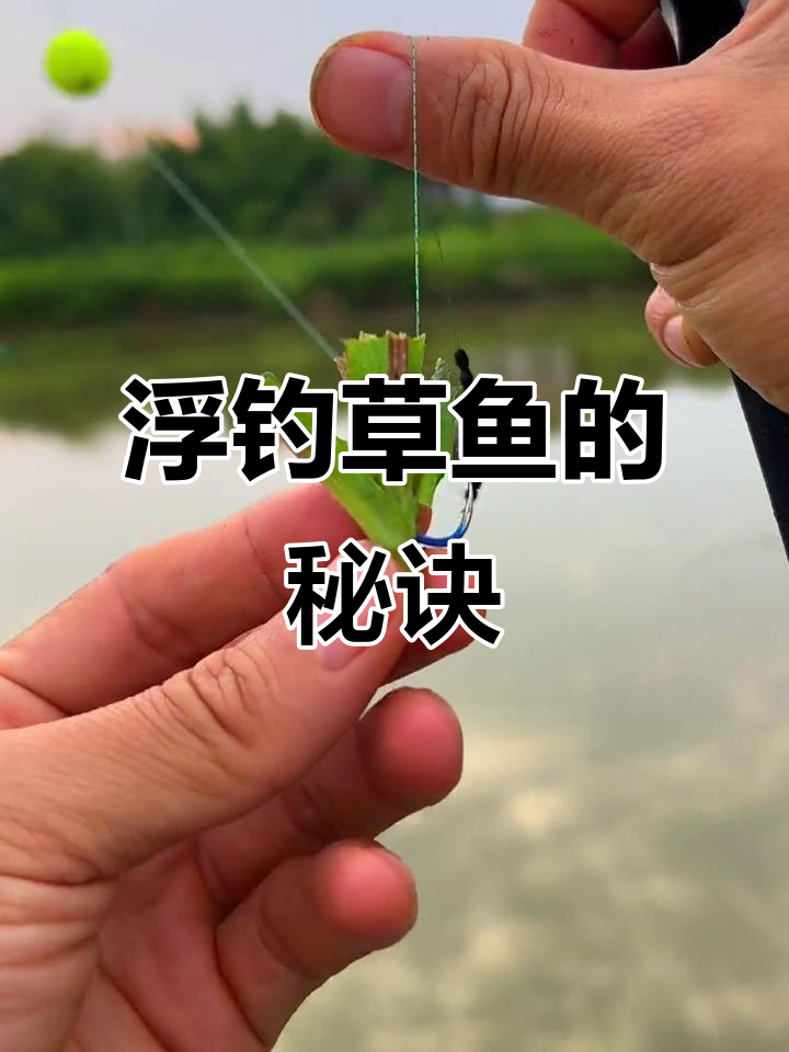 夏天水库野钓技巧(夏天水库野钓技巧和方法)