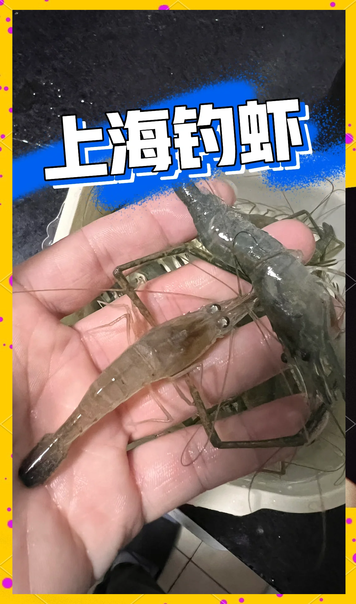 上海钓虾地方之家(上海野钓河虾的地方)