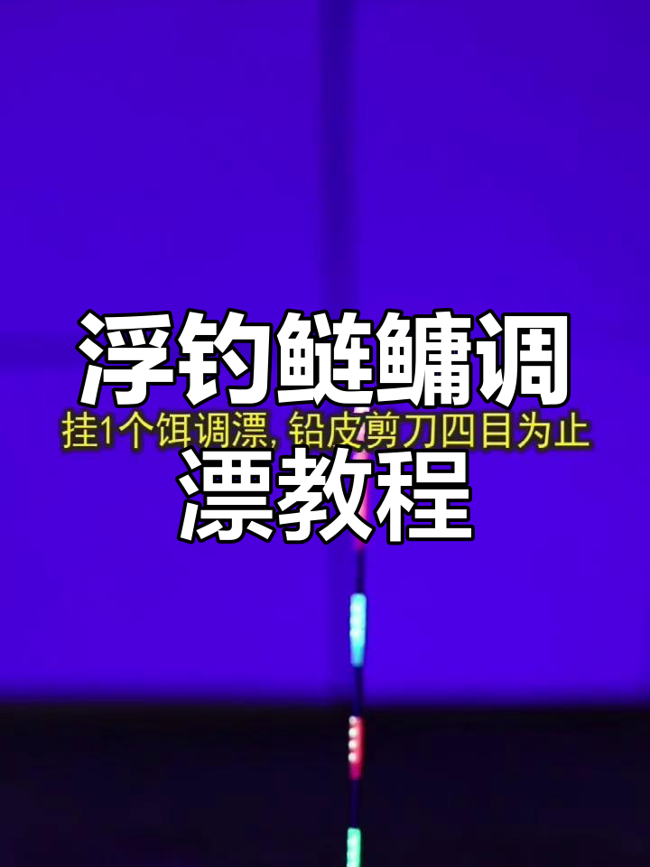 浮钓技巧图解(浮钓是怎么个钓法)