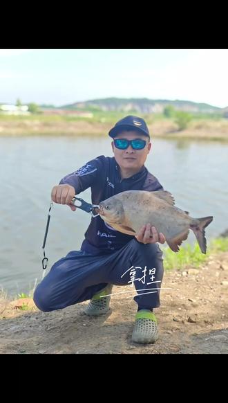 钓鲳鱼路亚(鲳鱼 路亚)