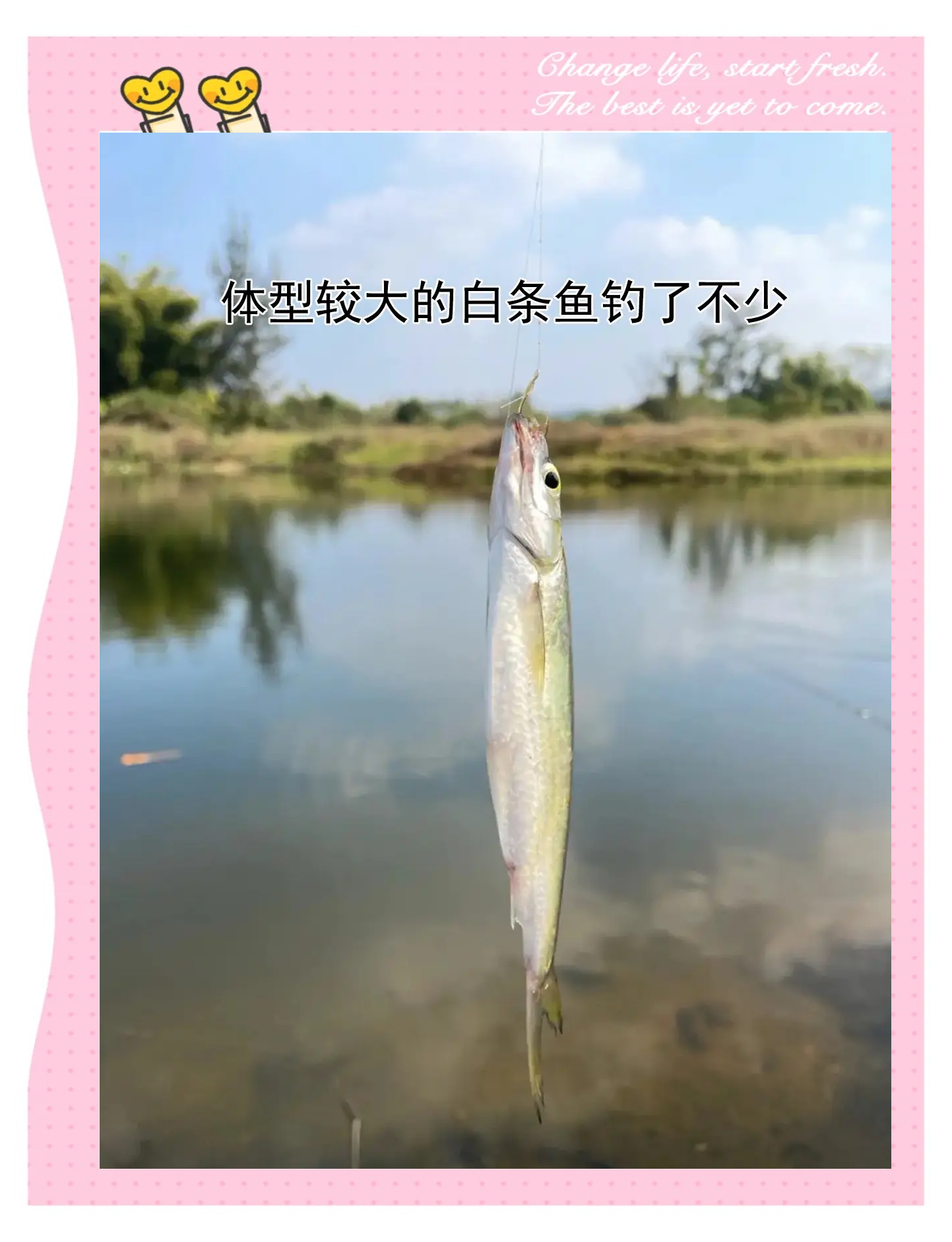 河里钓白条的技巧(河里钓白条的技巧和方法)