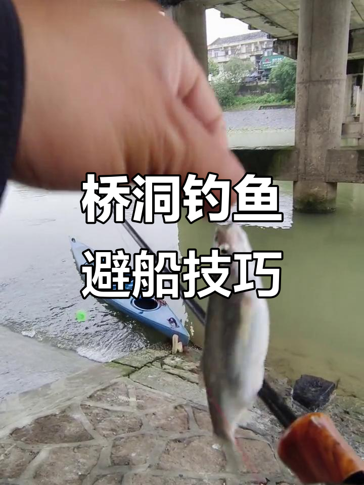 河里钓白条的技巧(河里钓白条的技巧和方法)