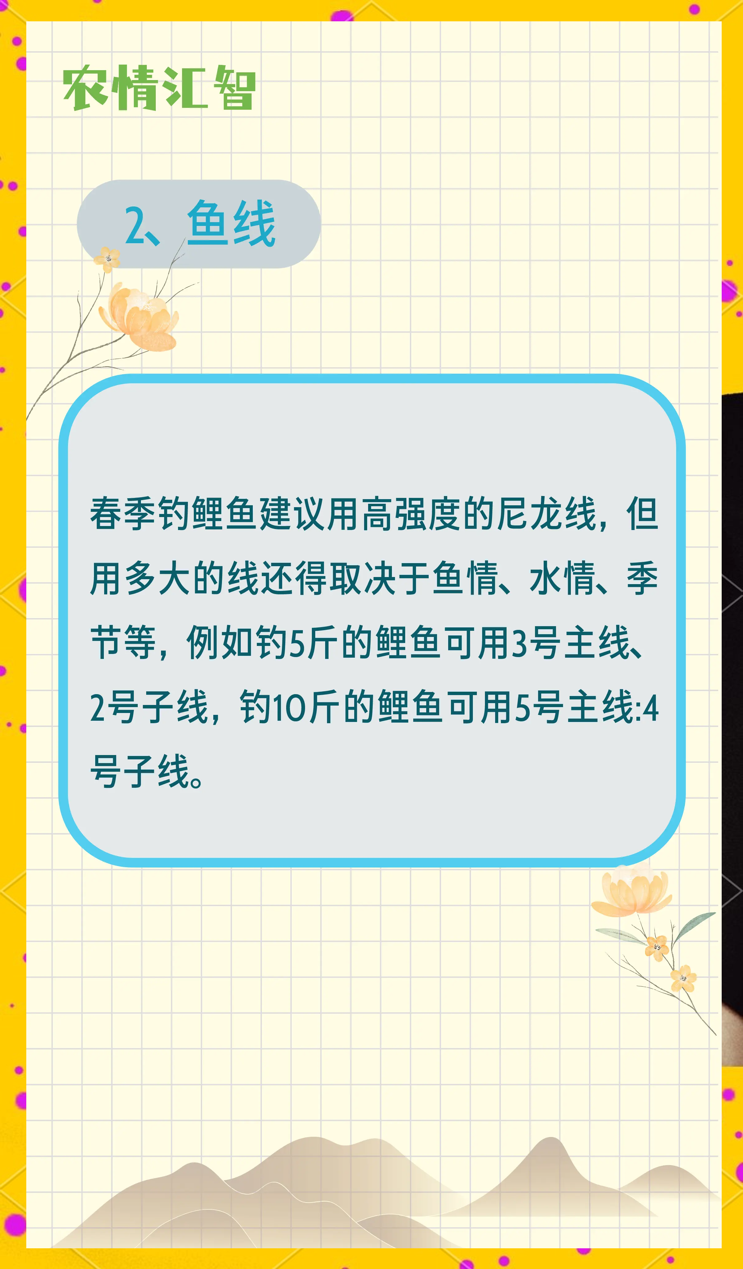春天手竿夜钓鲤鱼技巧(春季夜钓鲤鱼技巧)