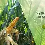 谷源饵料公司(谷源道大闸蟹官网)