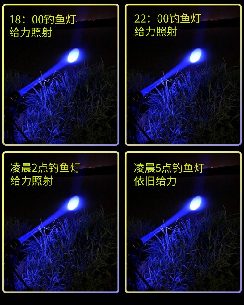 海钓灯夜钓灯价格(海钓灯怎么用)