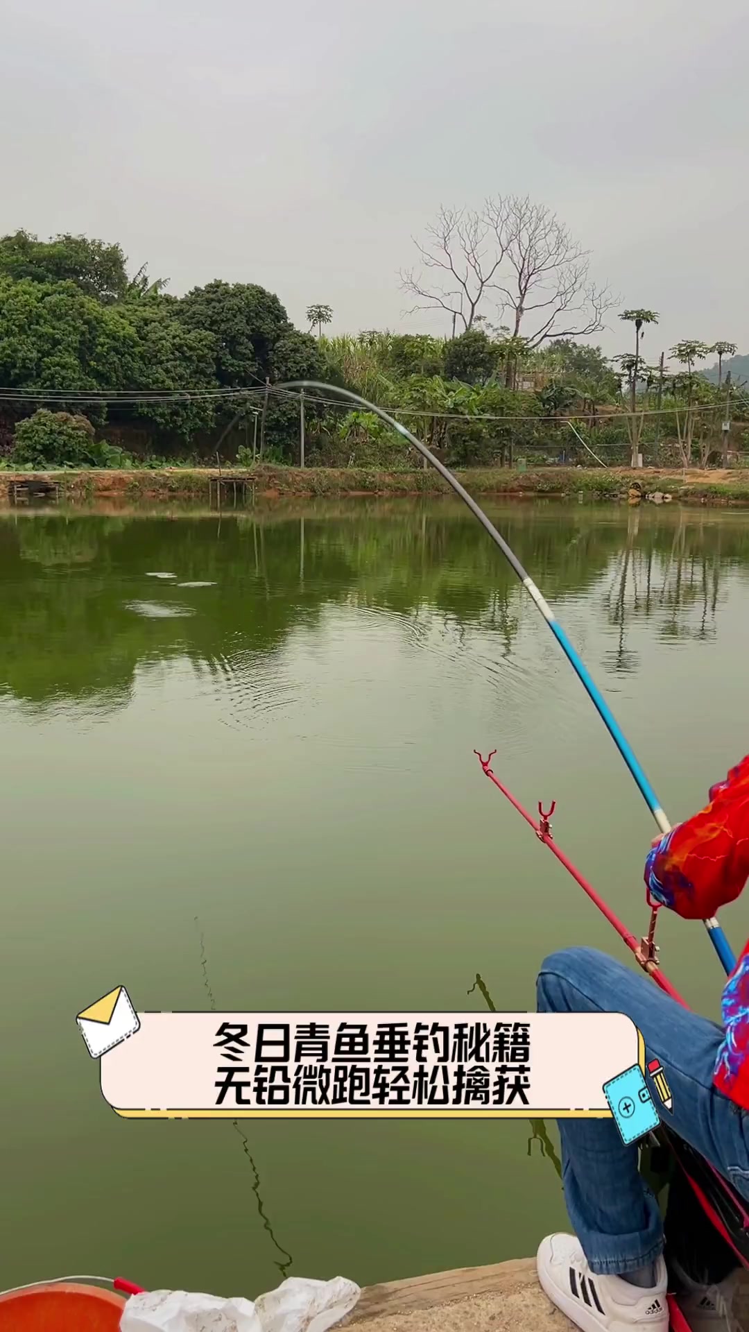 钓青梢的技巧(钓青梢的技巧是什么)