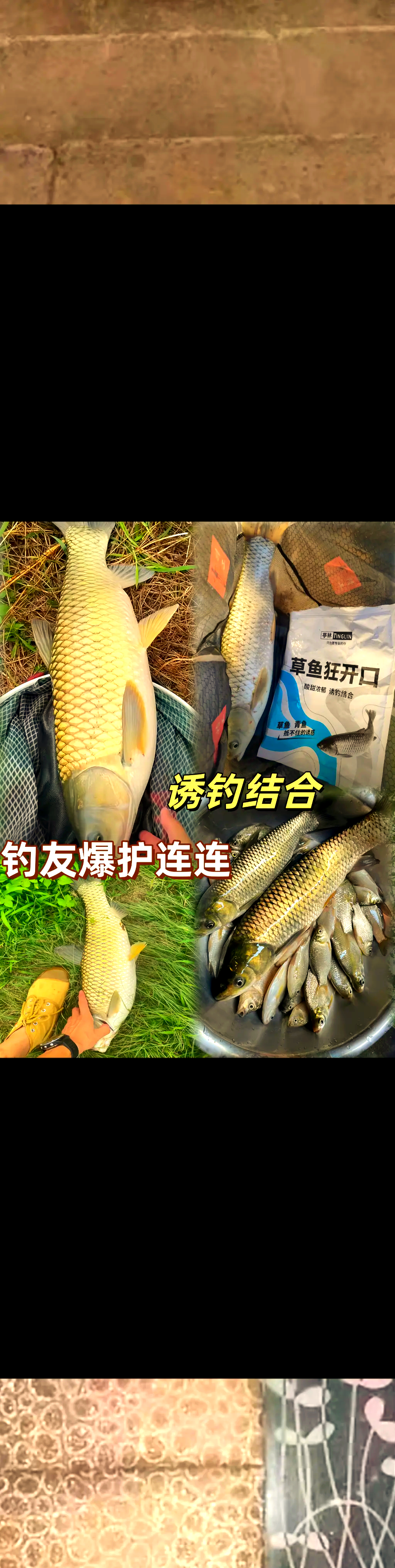 草鱼喜欢什么饵料(草鱼喜欢什么饵料比较好)