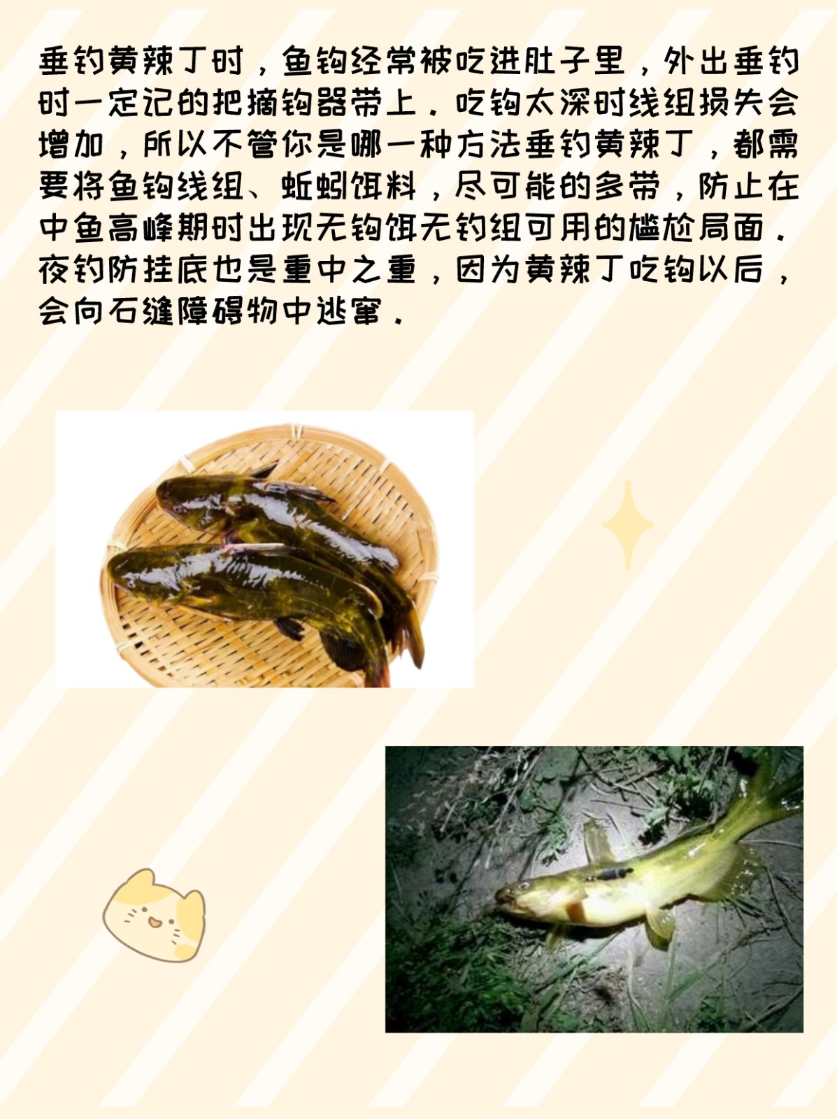 晚上钓黄颡技巧(夜钓黄颡鱼的一些技巧小结)