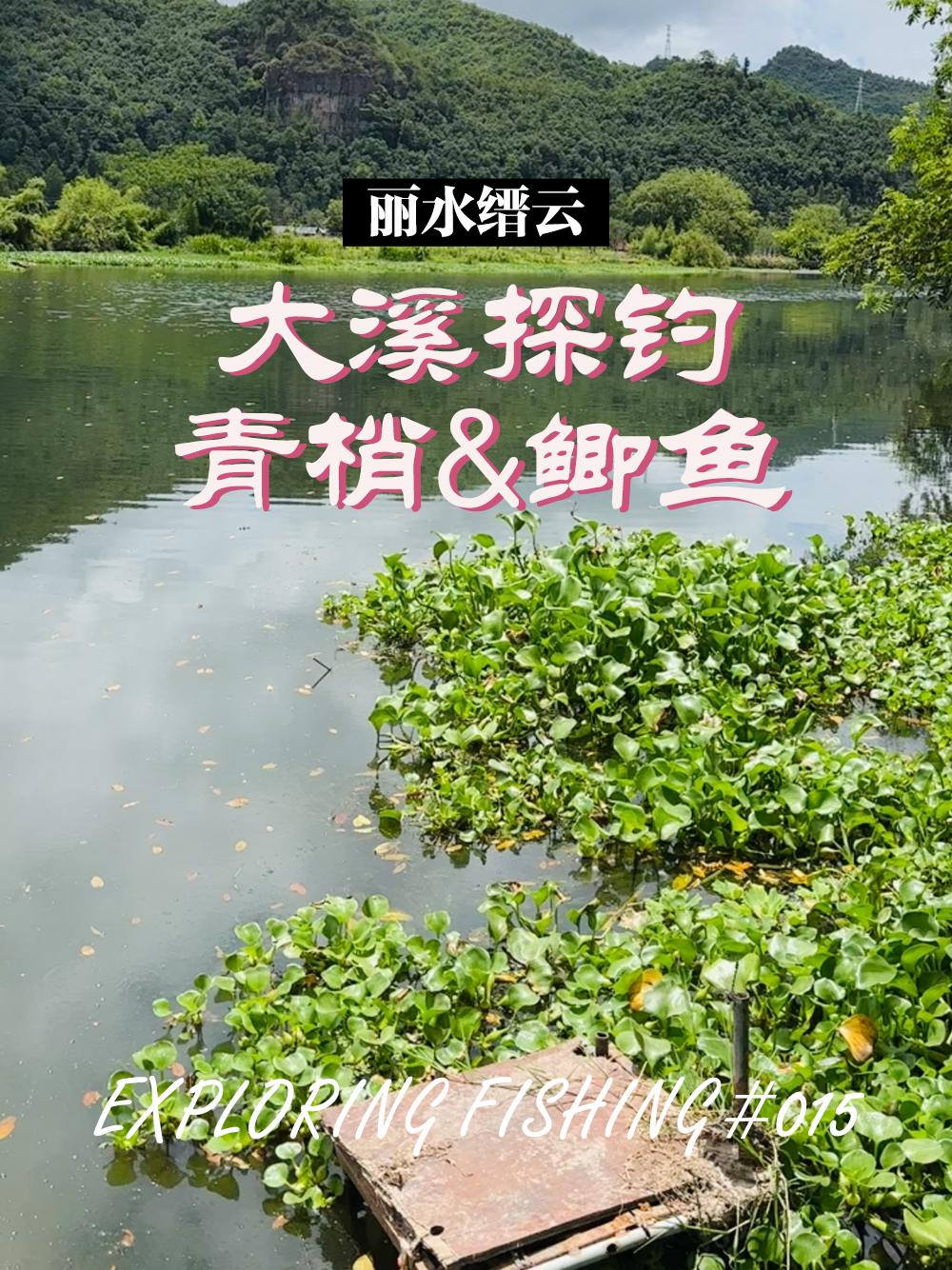 丽水瓯江钓鱼技巧(瓯江钓鱼怎么钓?)