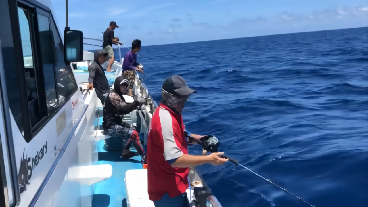 南油海钓鱼视频大全(钓鱼视频野钓实战手竿)
