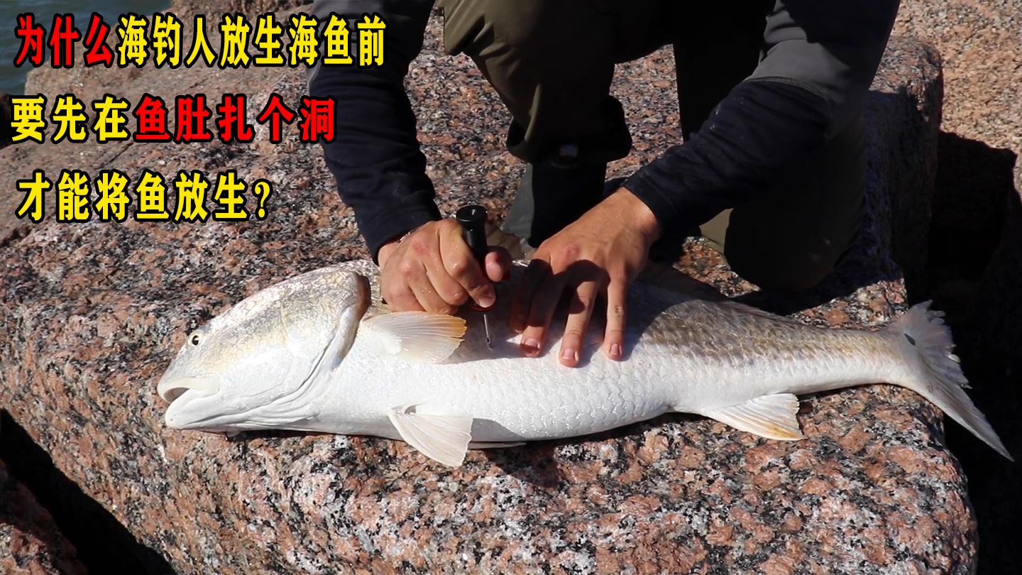 海钓扣洞(海钓鱼钩)