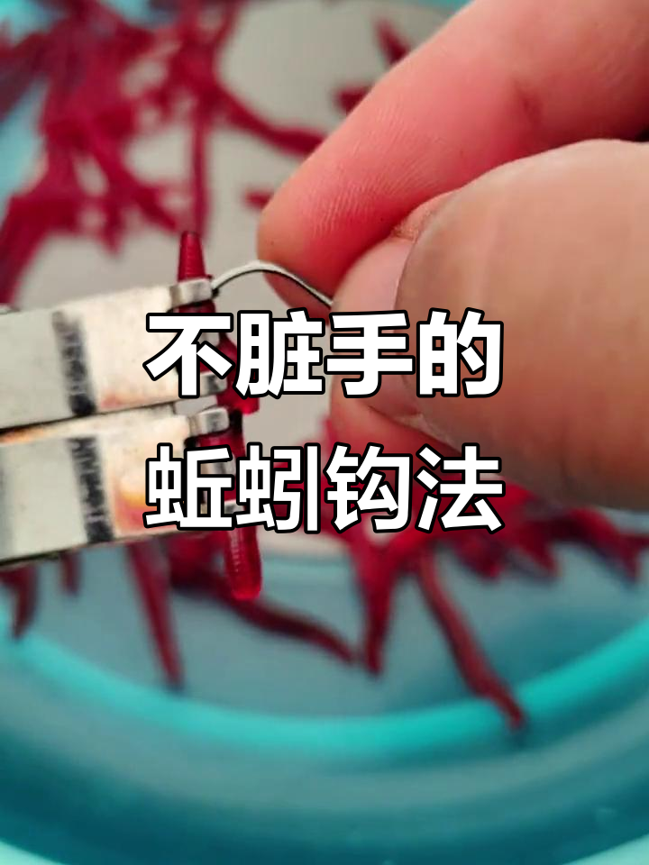 蚯蚓穿钩的技巧(蚯蚓穿钩方法)
