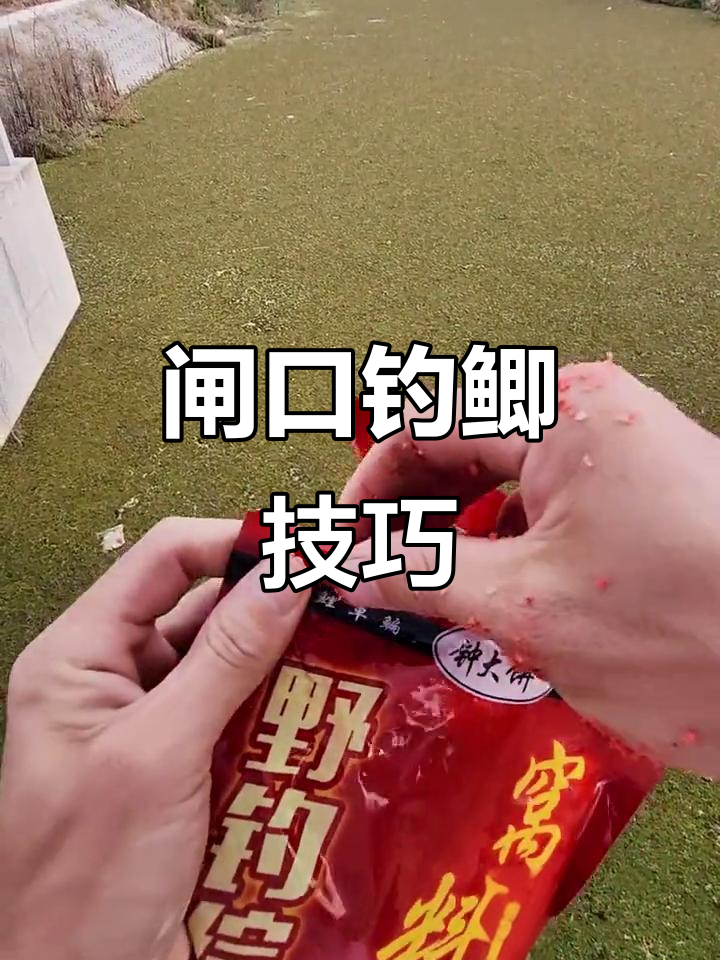 江边闸口钓鱼技巧(闸口边钓鱼好不好)