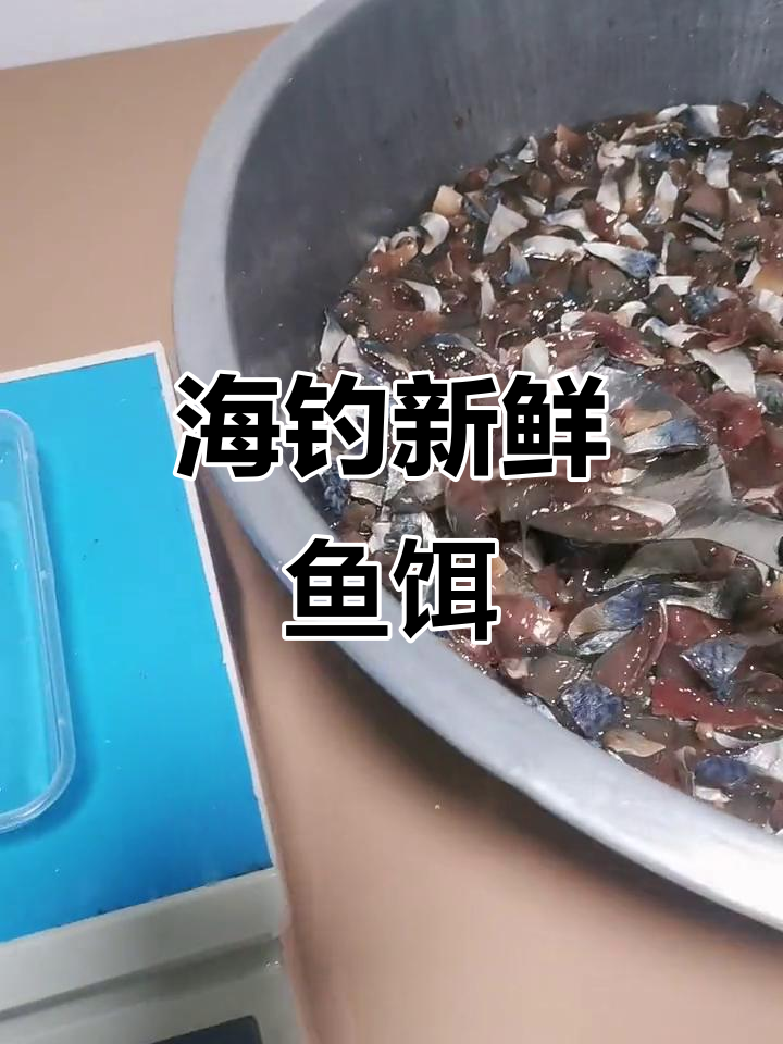 海钓大鱼钓饵(海钓用饵)