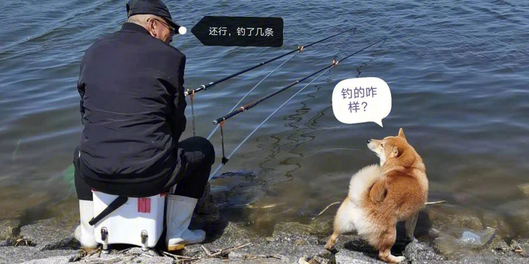 追泡钓鱼技巧(追泡钓鱼技巧和方法)