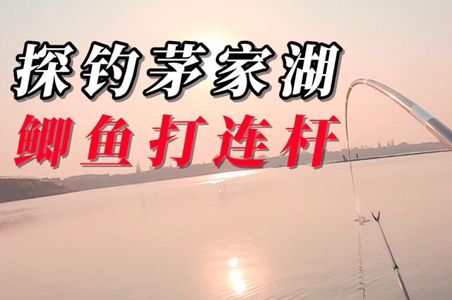 下雨后阴天钓鱼技巧(下雨后阴天钓鱼技巧是什么)