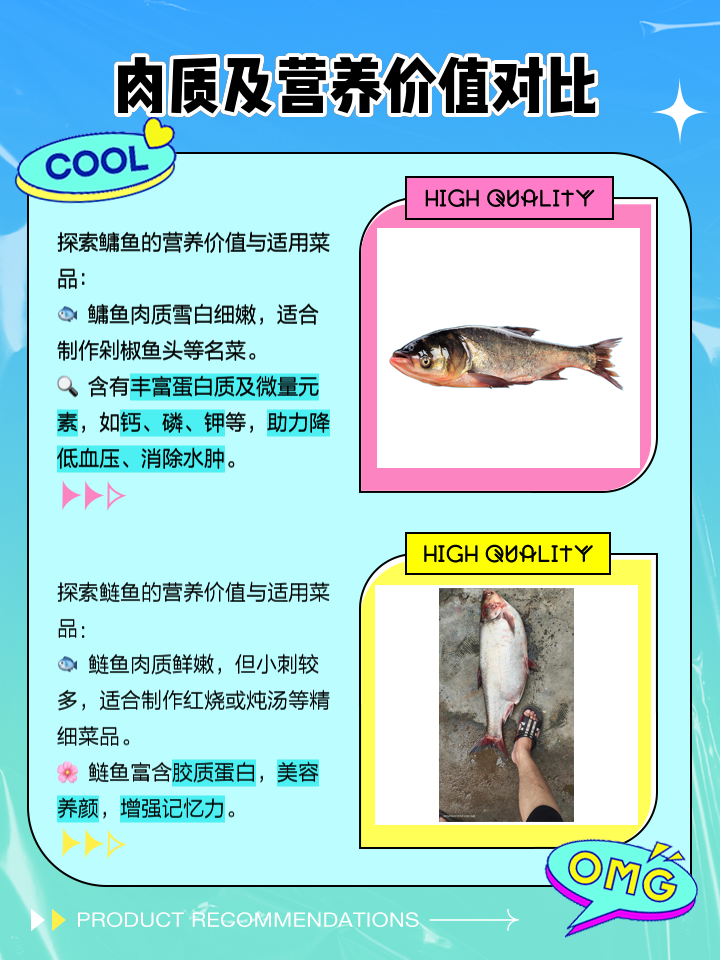 胖头鱼溜鱼技巧(胖头鱼咋吃)