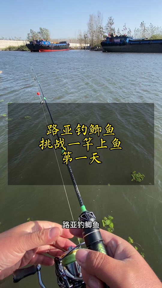 路亚竿钓鲫鱼方法(路亚钓鲫鱼用视频教程)