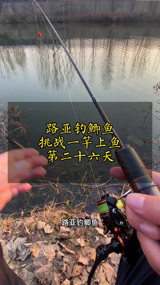 路亚竿钓鲫鱼方法(路亚钓鲫鱼用视频教程)