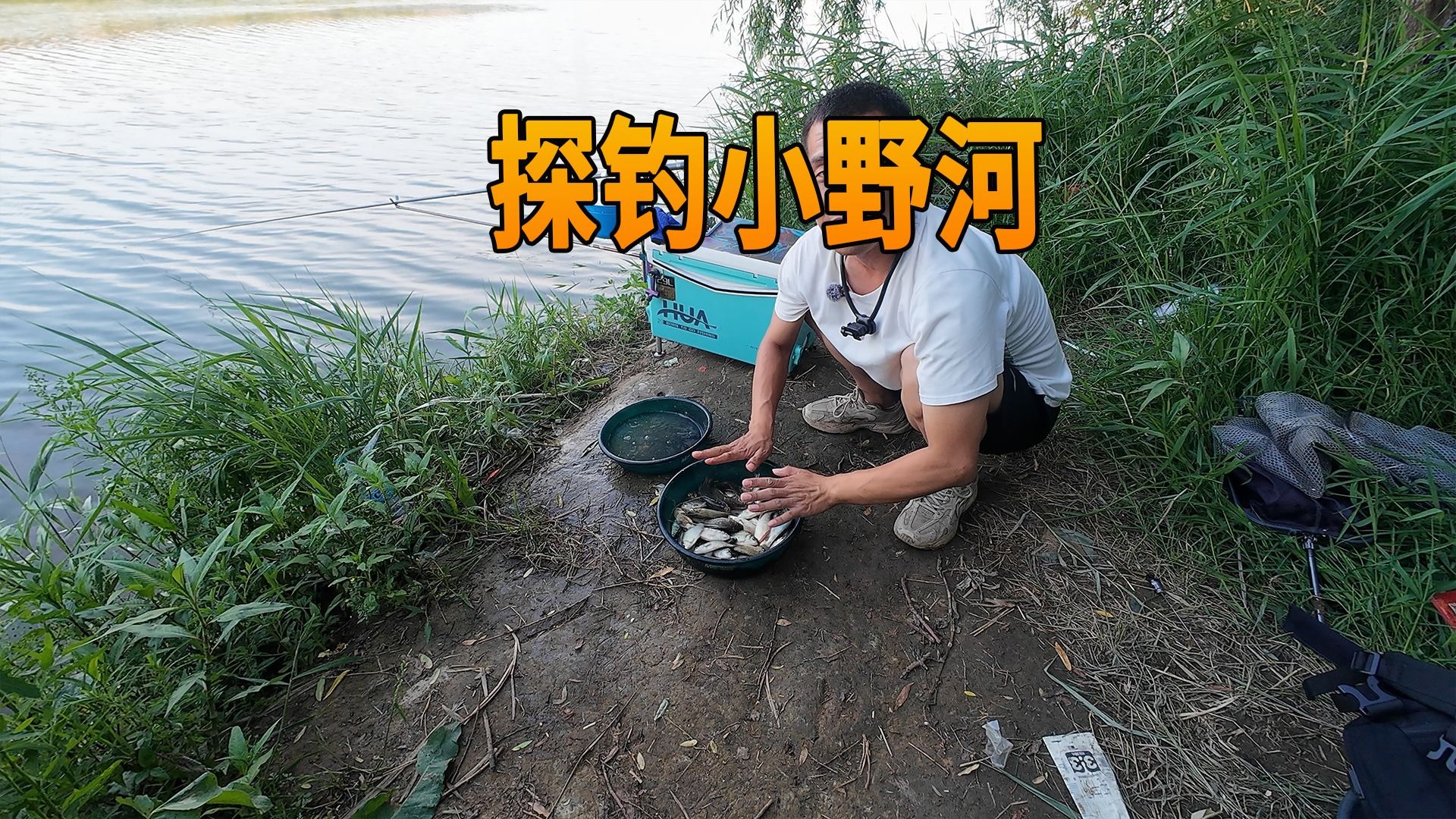 野河钓鱼技巧江西(野河野钓)