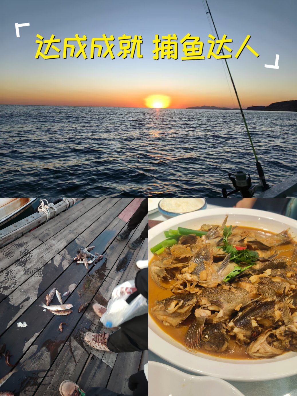 美国海钓俱乐部(国际海钓俱乐部)