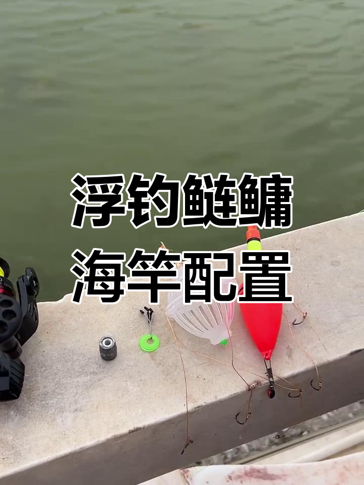 海竿钓鱼的选择技巧(海竿怎么选择钓位)