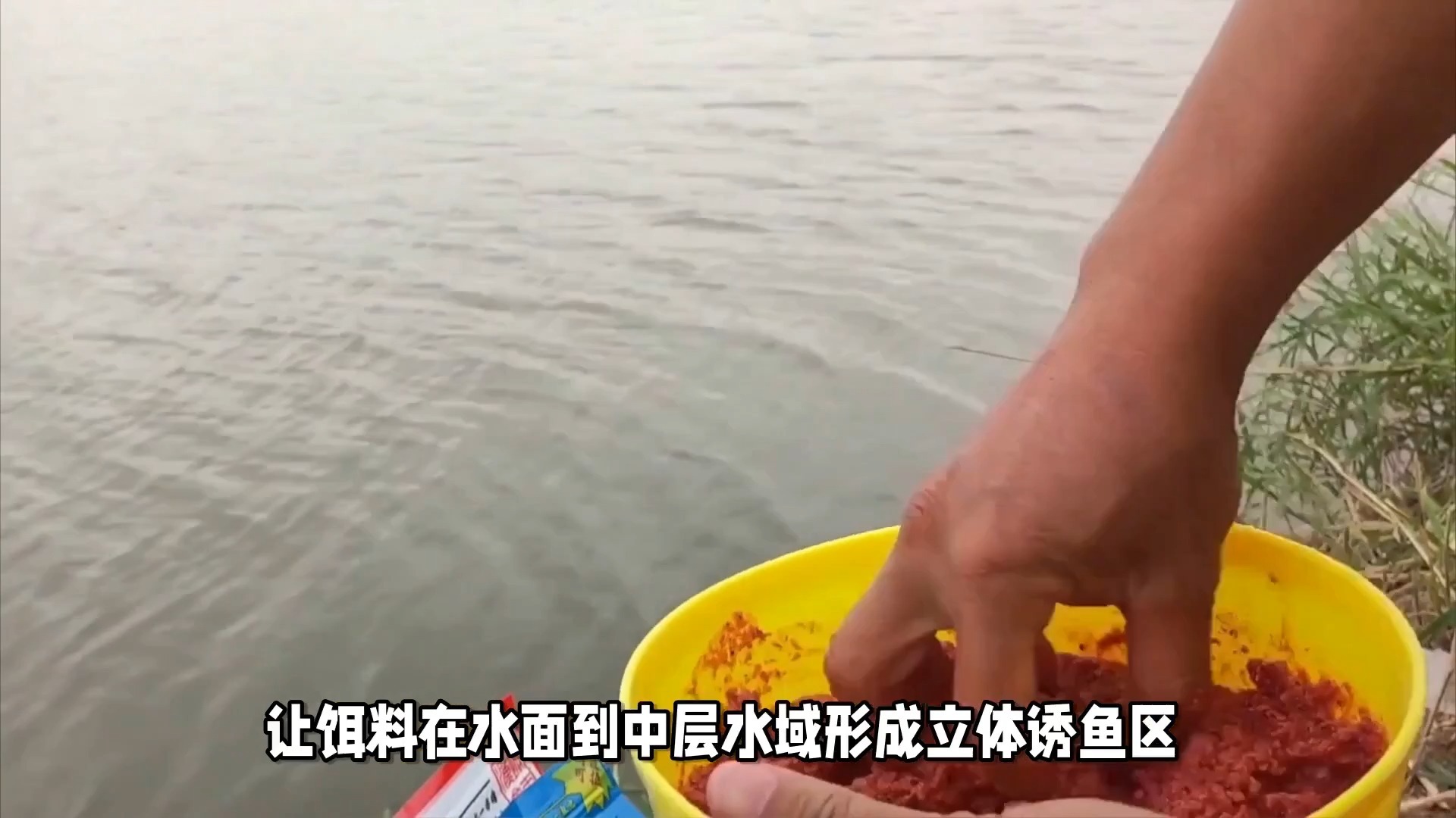 饵料钓鱼都是白条(饵料钓鱼都是白条吗)