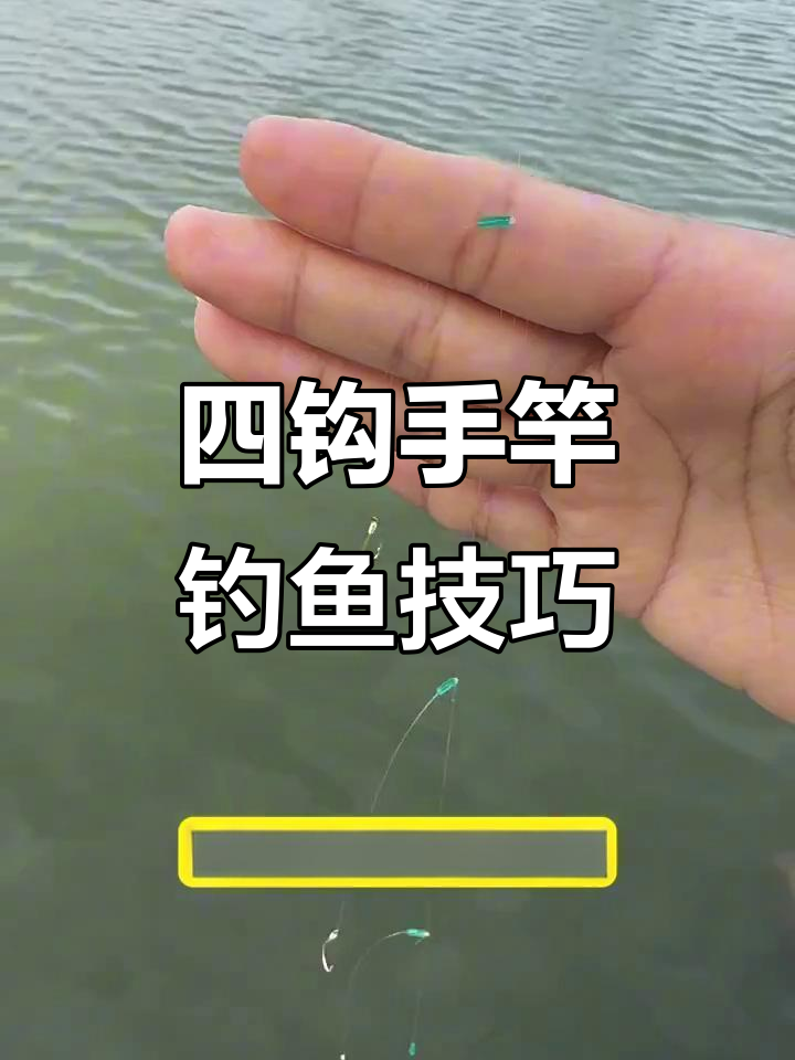 长手竿抄鱼技巧(超长手竿)