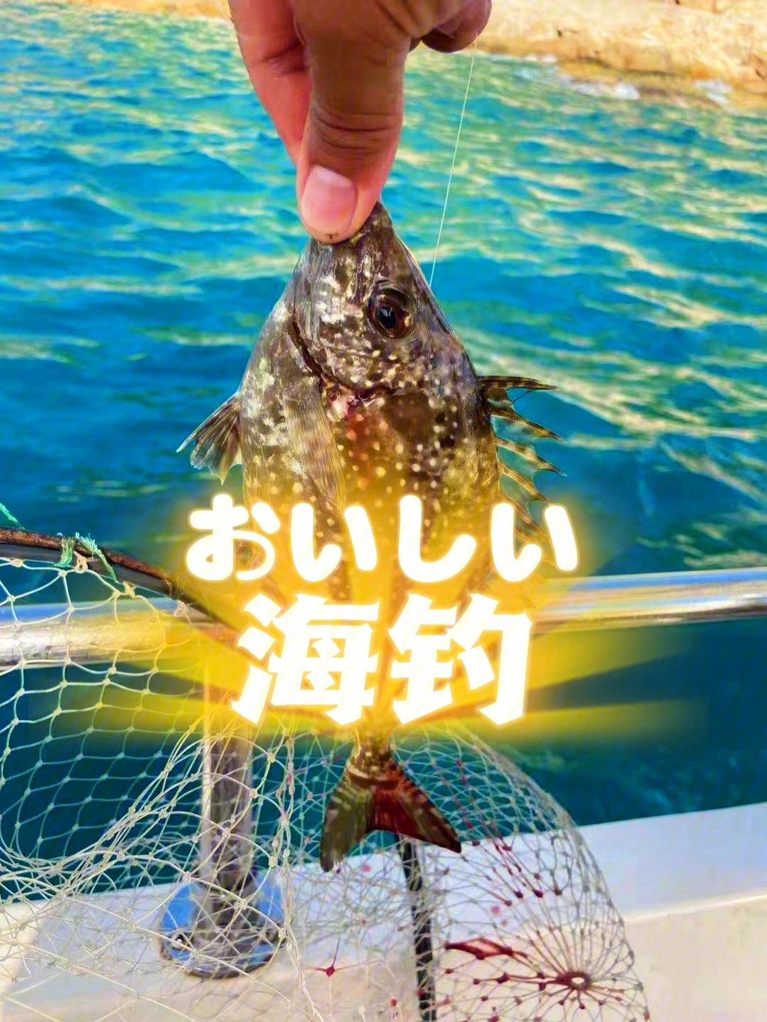 三灶海钓攻略(珠海三灶海钓地点)