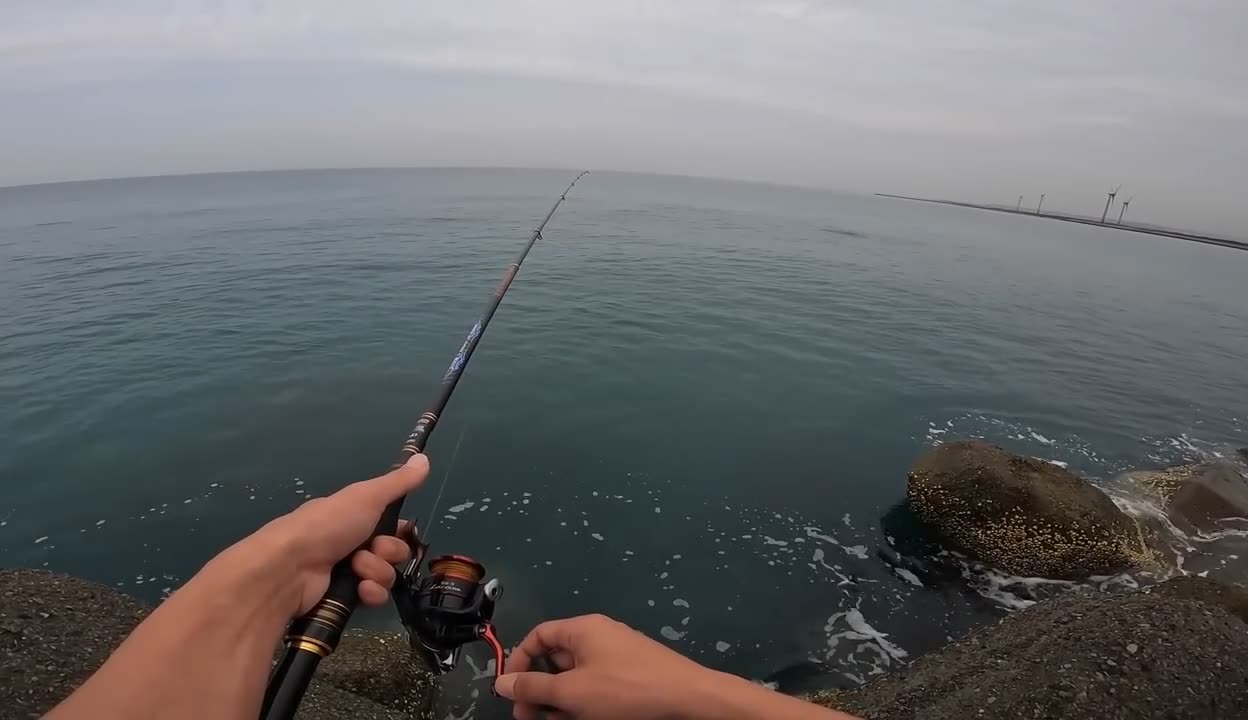 海钓在线视频观看(海钓视频大全免费观看)