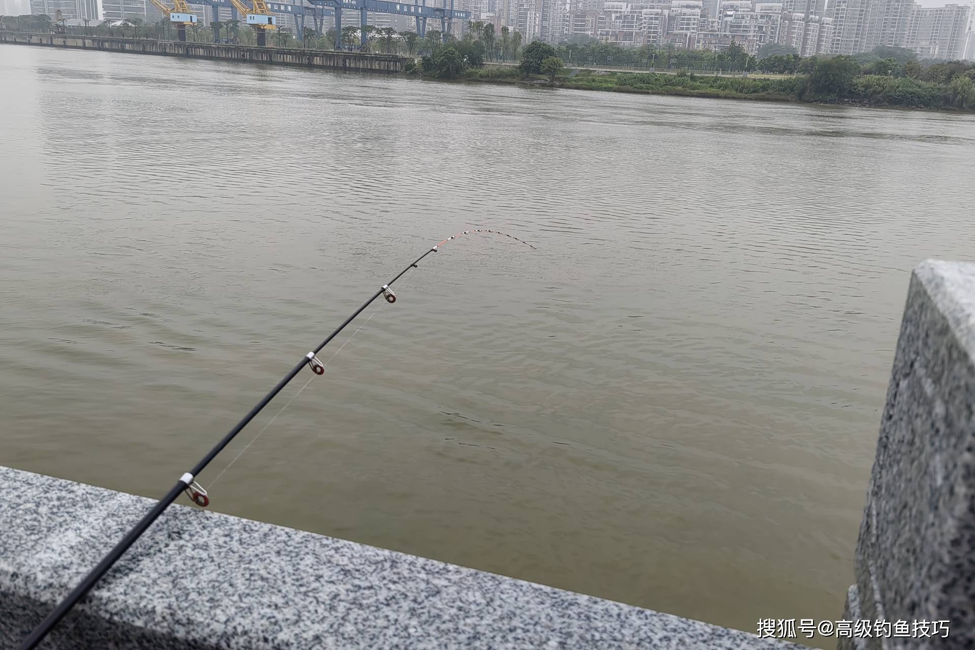 用海杆在海里钓鱼技巧(用海杆在海里钓鱼技巧和方法)